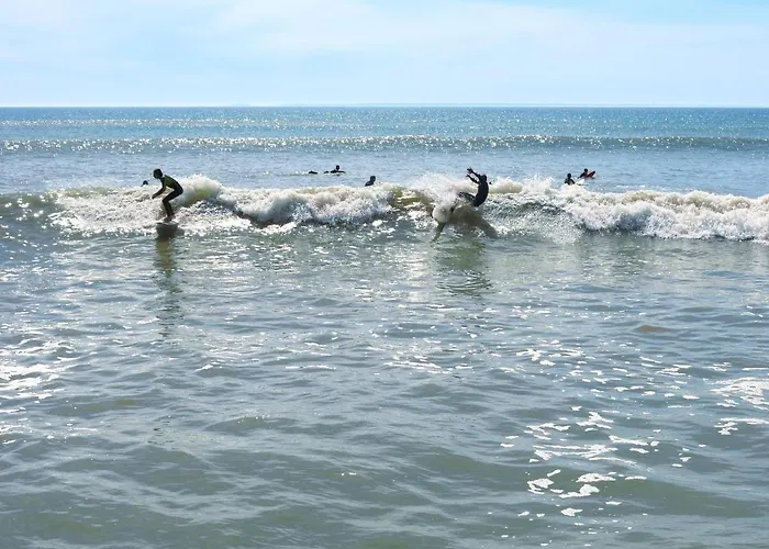 Pamplemousse Face By Interhome *